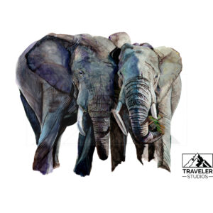 African_Elephant_watermark-1.jpg African Elephant Prints