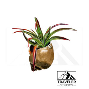 AirPlant_Printready-2.jpg Air Plant Prints