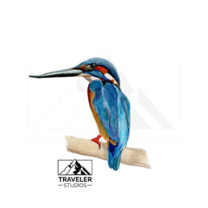 Kingfisher Prints