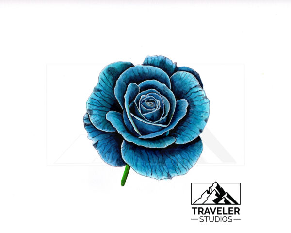 Blue Rose Prints