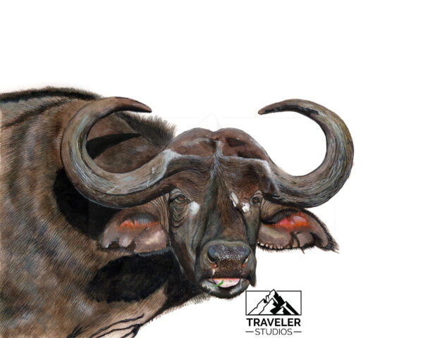 img20230307_18473919_watermark-1-1.jpg Custom Animal Portrait